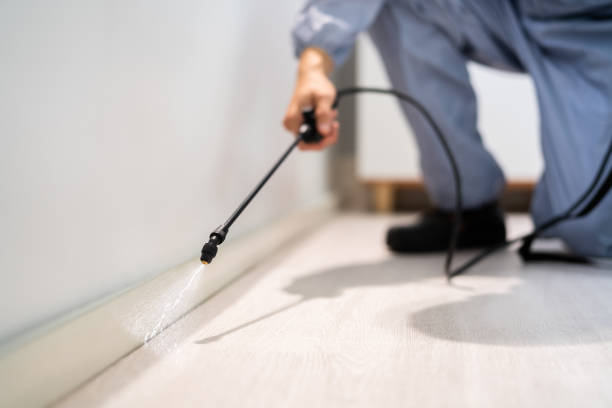 Licensed Termite Control service in Dalton, OH - Nex Pest Control