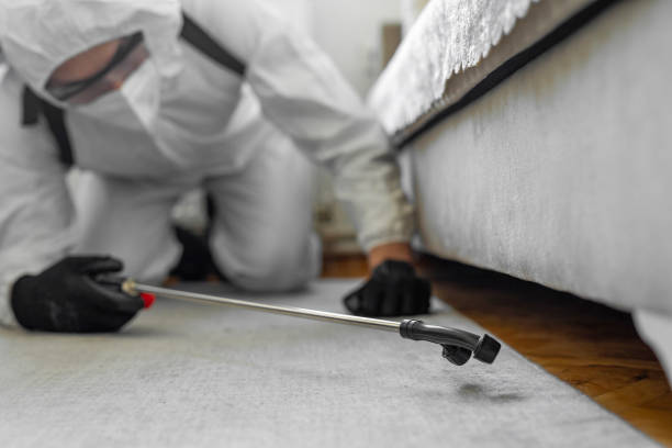 Professional Termite Control technician working in Dalton, OH