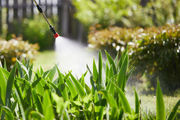 24/7 Emergency Termite Control experts in Dalton, OH