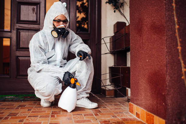 Reliable Termite Control contractor in Dalton, OH by Nex Pest Control