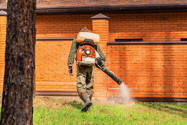 Trusted Mosquito Control service in Dalton, OH - Nex Pest Control